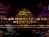 Freespin-Deneme-Bonusu-Nasil-Degerlendirilir-overlay-1788104139.jpg